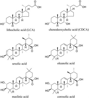 Allspice and Clove As Source of Triterpene Acids Activating the G Protein-Coupled Bile Acid Receptor <mark class="highlighted">TGR5</mark>